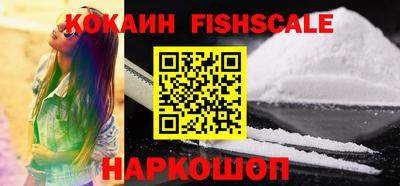 индика Можга
