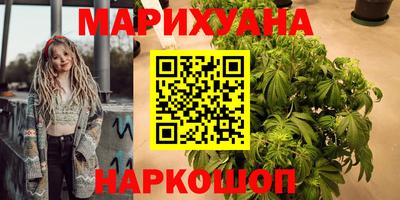 spice Моздок