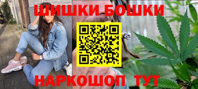 индика Можга