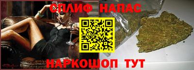 индика Можга