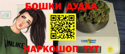 spice Моздок