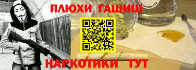 индика Можга